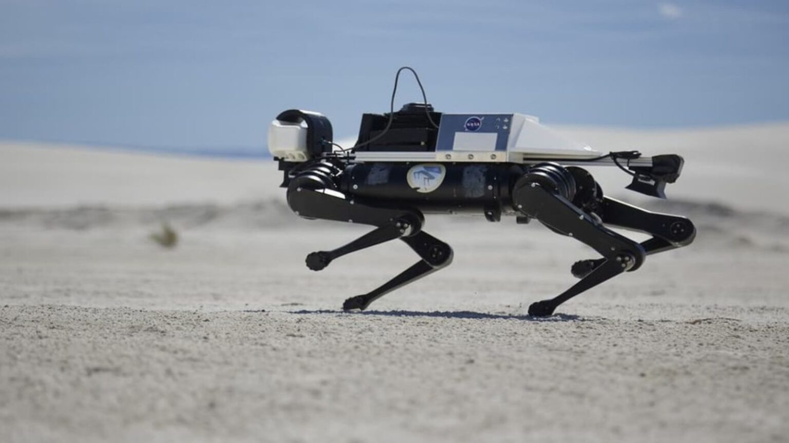 robot