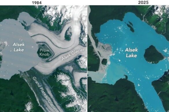 In Alaska è comparsa una nuova isola con lo scioglimento dei ghiacci