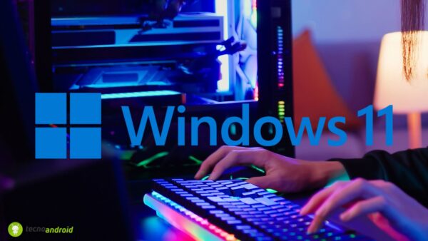 Windows 11