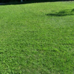 YARDCARE M800Plus - immagine 15 PYARDCARE MPlus