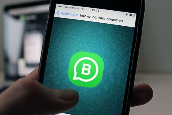 WhatsApp Business: la beta introduce i temi personalizzabili per Android