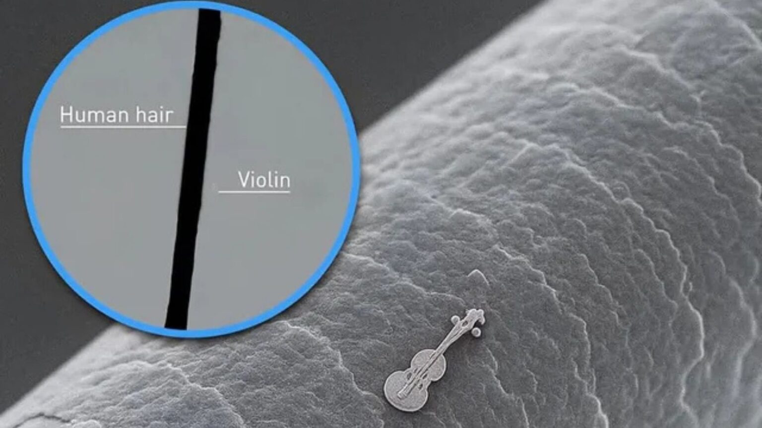 violino