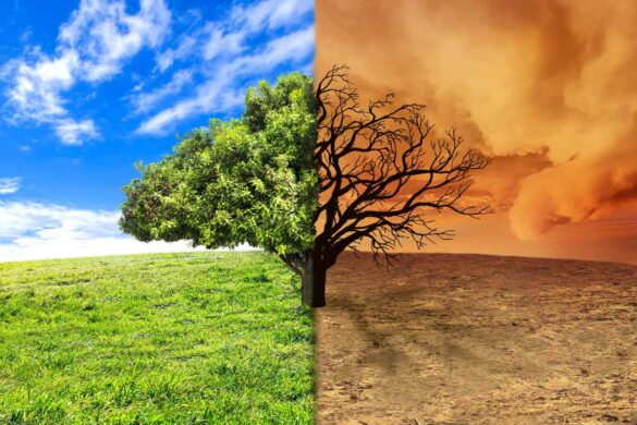 Calore estremo mette a dura prova agricoltura e edilizia