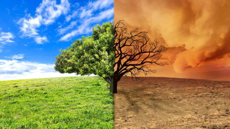 Entro il 2050 i cambiamenti climatici potrebbero causare 1,5 trilioni di perdite e oltre 14 milioni di morti nel mondo.