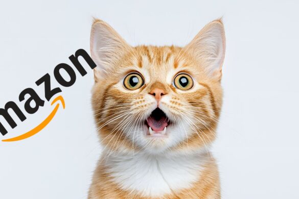 Amazon, i prezzi CROLLANO del 70%: tanti REGALI e offerte shock
