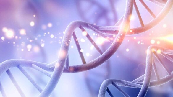 Data center addio: archivia i tuoi file su nastri di DNA sintetico