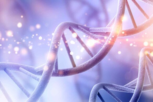 Data center addio: archivia i tuoi file su nastri di DNA sintetico