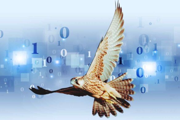 RoboFalcon2.0: il falco robotico che decolla da solo