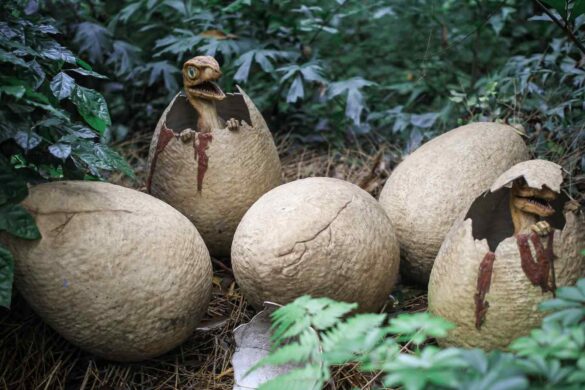 Un laser rivela l’età reale delle uova di dinosauro