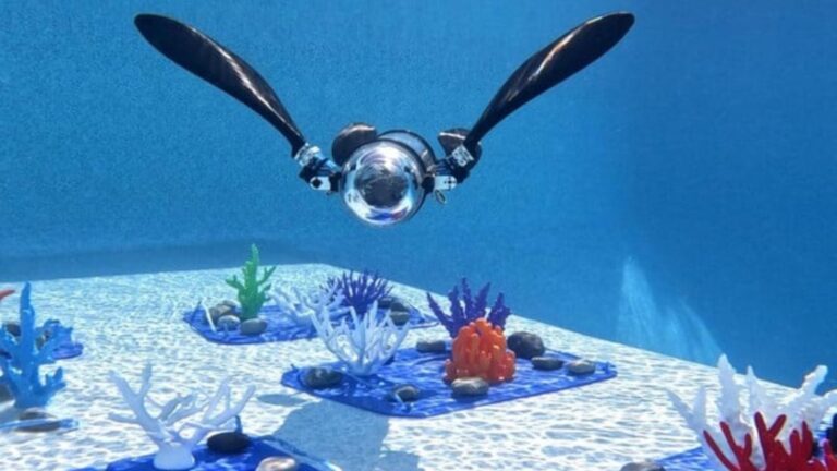 tartaruga robot AI