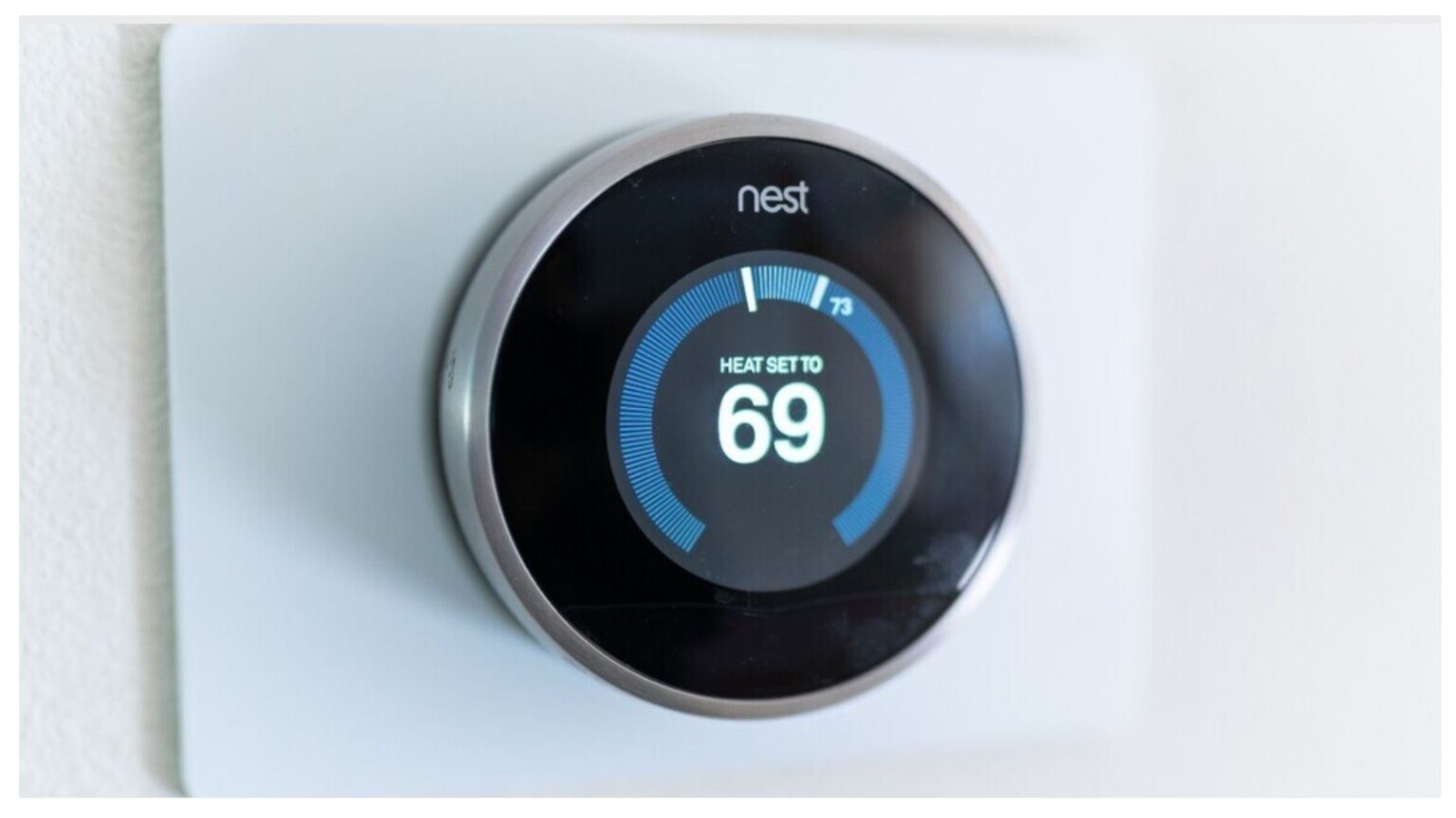 Nest
