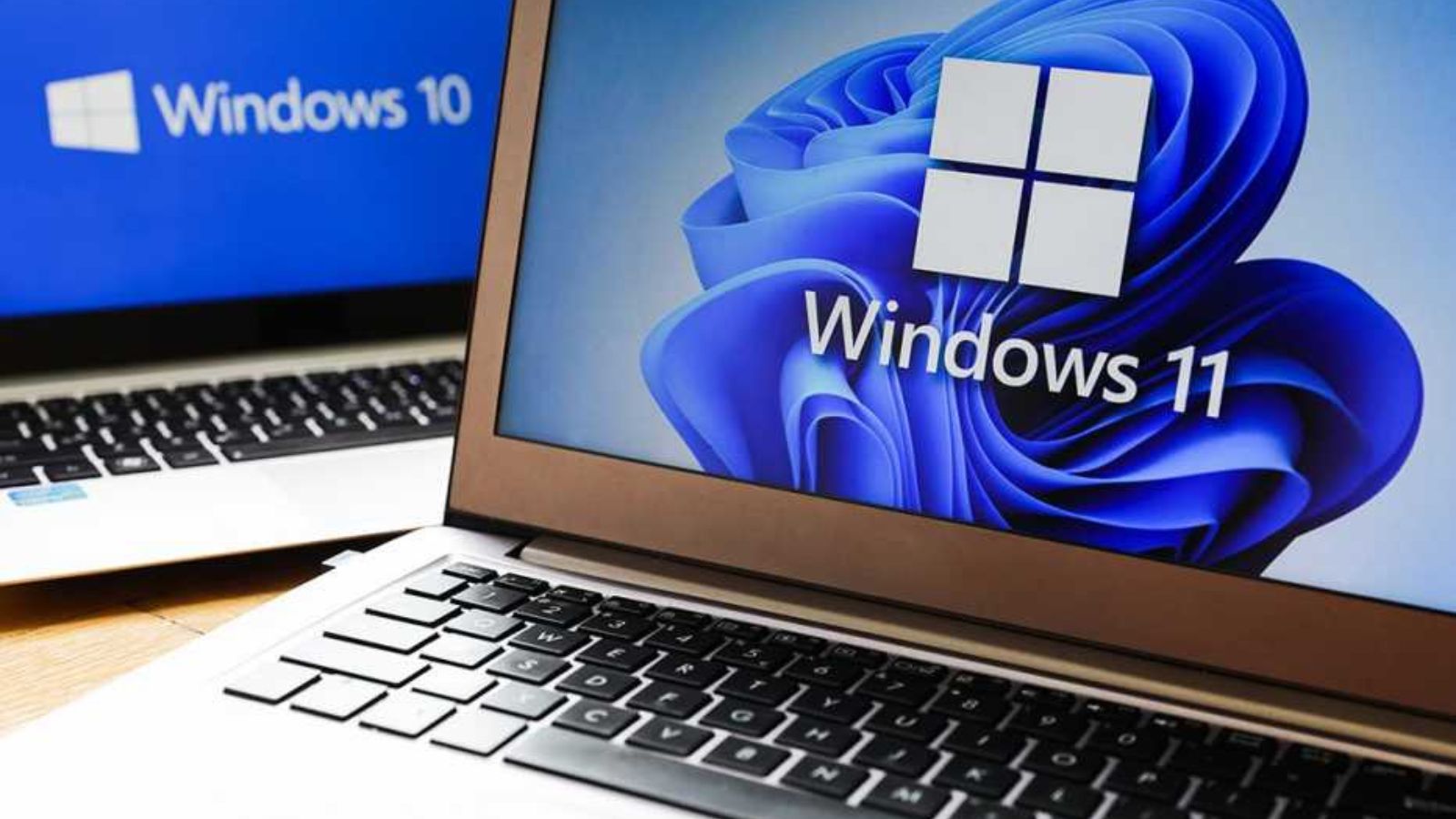 Windows 11 Windows 11