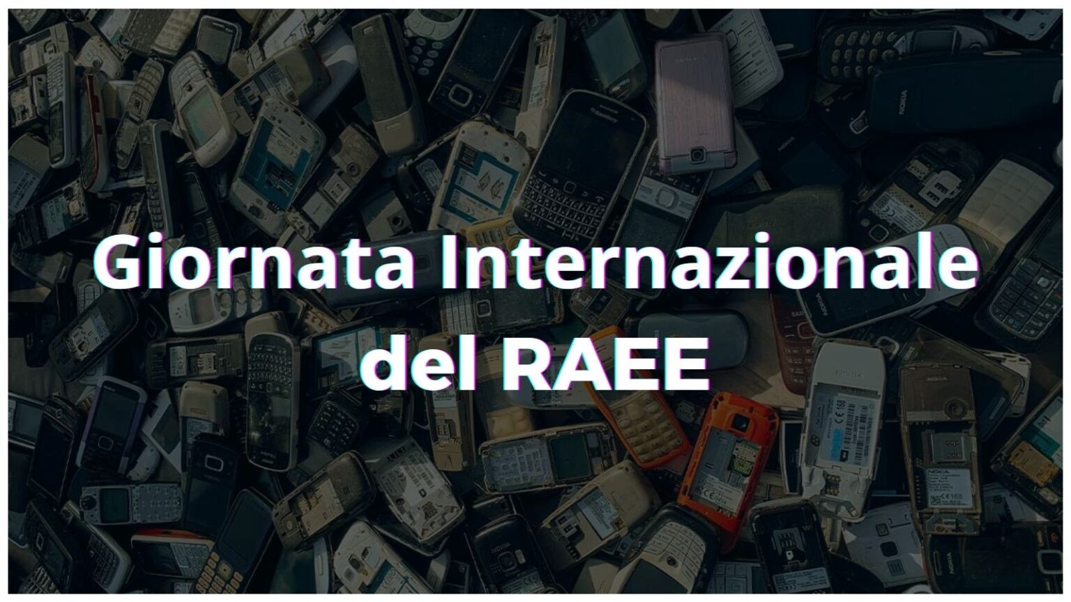 RAEE