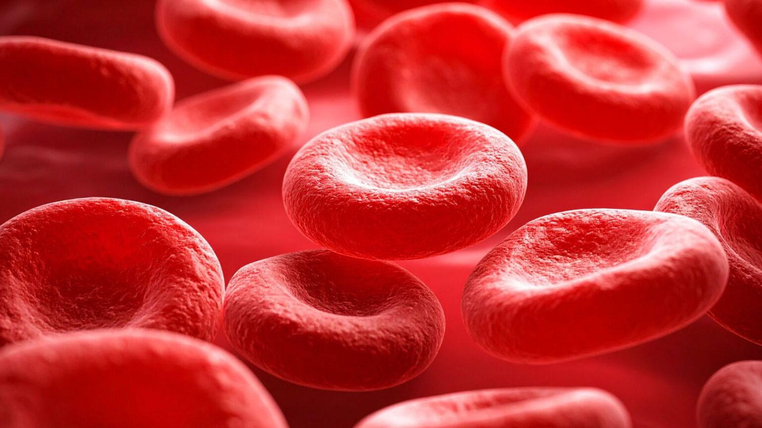 Sangue umano creato in laboratorio: da Cambridge una nuova scoperta