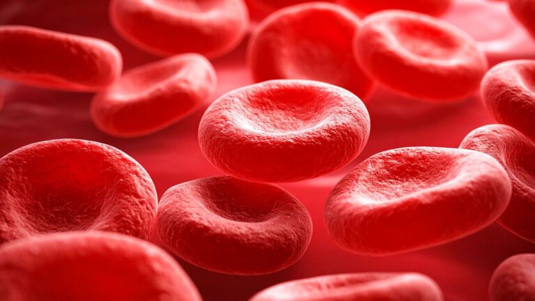 Sangue umano creato in laboratorio: da Cambridge una nuova scoperta