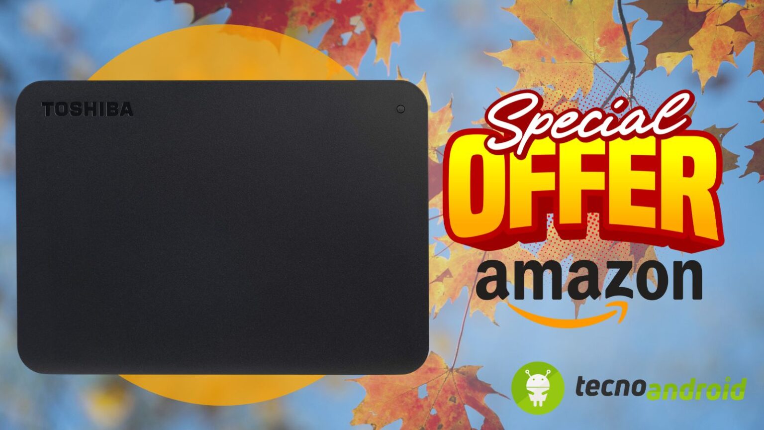 Amazon: Toshiba 1TB Canvio Basics porta ordine digitale ovunque