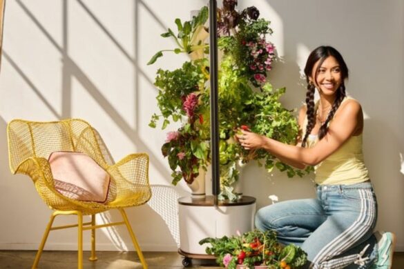 Gardyn Studio 2: il giardino smart con AI per appartamenti e spazi ristretti