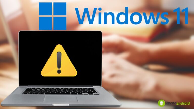 Windows 11