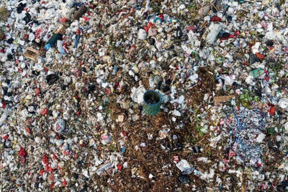 Spedizione illegale di rifiuti: arriva il primo arresto