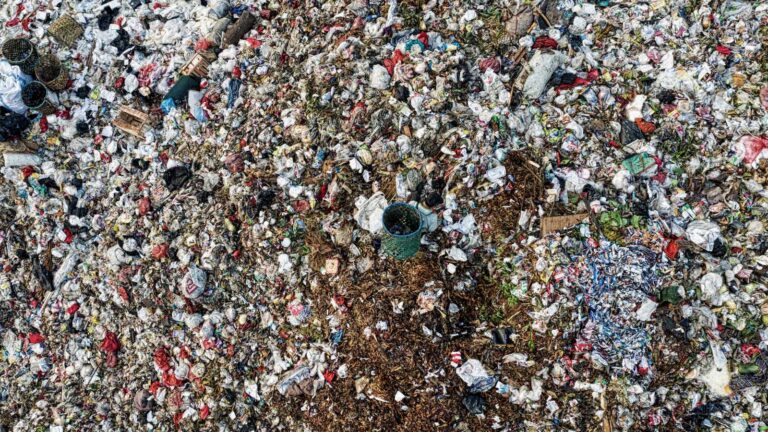Spedizione illegale di rifiuti