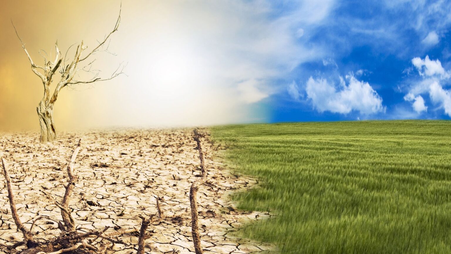 Cambiamento climatico