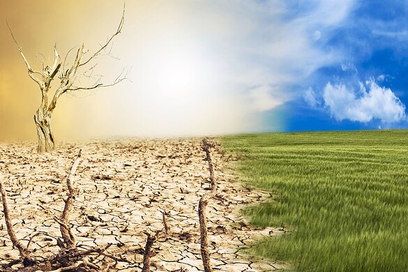 Cambiamento climatico: per il Segretario ONU si parla di fallimento