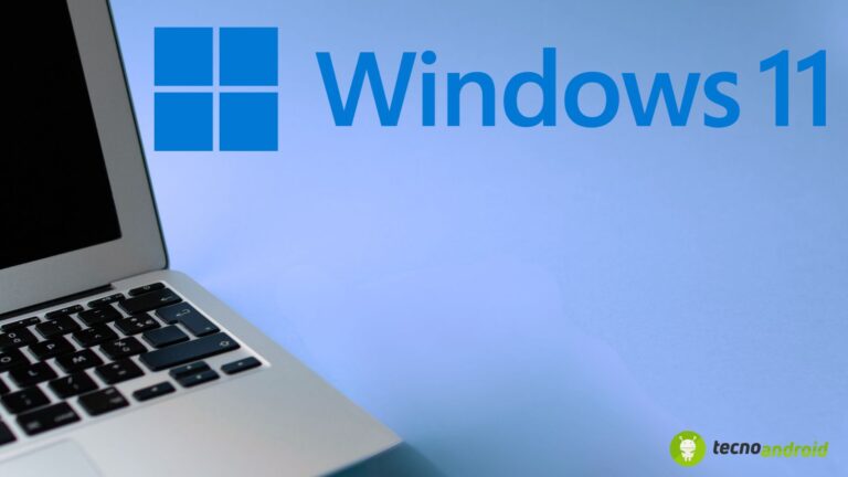 Windows 11