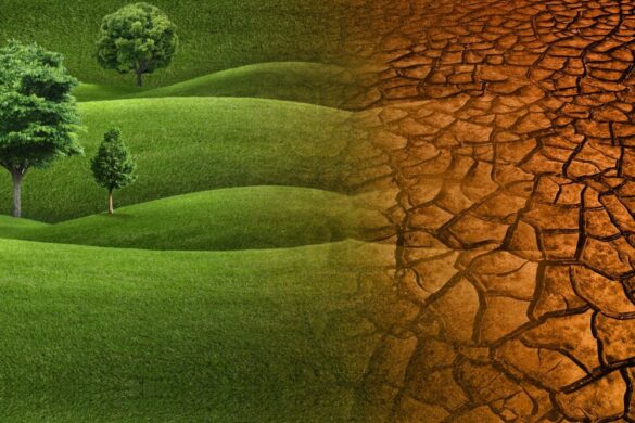 Allarme per il riscaldamento globale: superate soglie critiche