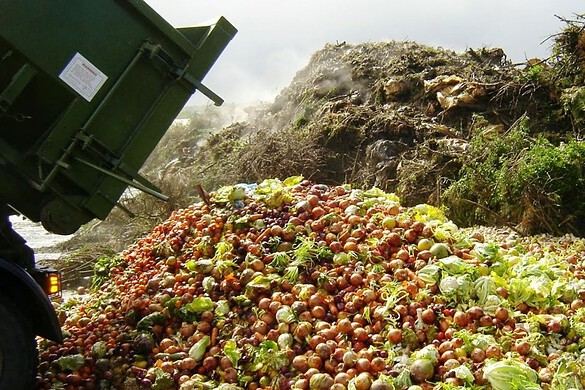 L’Europa verso l’economia circolare: no sprechi alimentari e rifiuti tessili