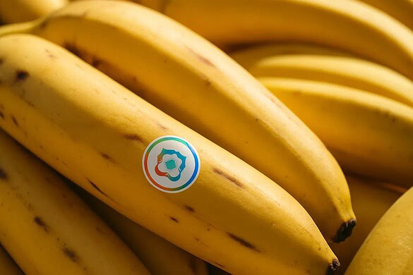 Google Messaggi e Foto si preparano a Nano Banana e contenuti spaziali