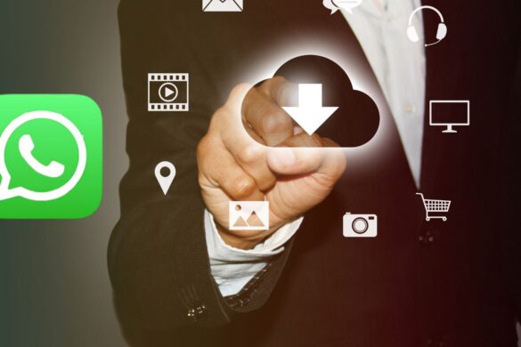WhatsApp Beta iOS: ora puoi scegliere la qualità dei contenuti multimediali scaricati