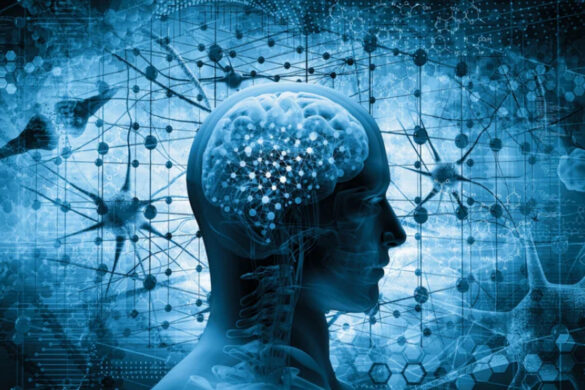 Alzheimer, nuova terapia innovativa che ripara la barriera cerebrale