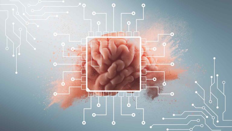 FinalSpark addestra neuroni umani in provetta per creare processori biologici più efficienti dei chip tradizionali.