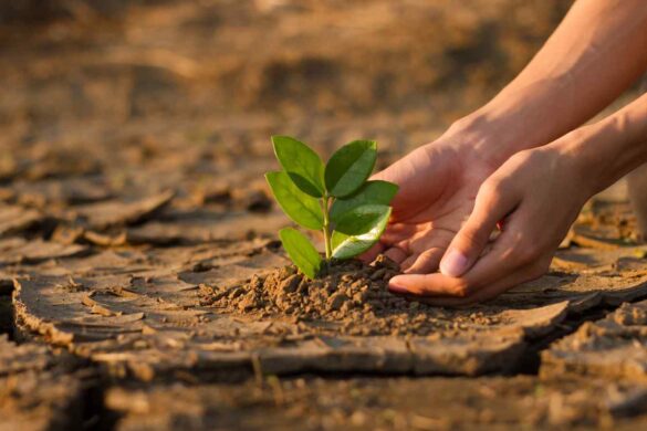 COP30 a rischio: mancano letti per metà dei delegati a Belém