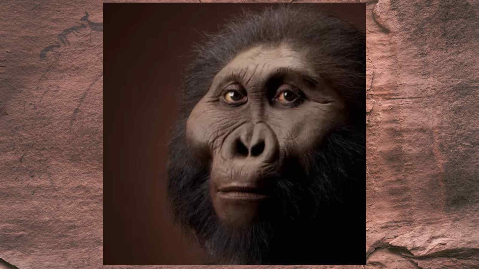 Paranthropus boisei, il “gigante masticatore”, aveva mani precise e piedi eretti, riscrivendo la sua storia evolutiva.