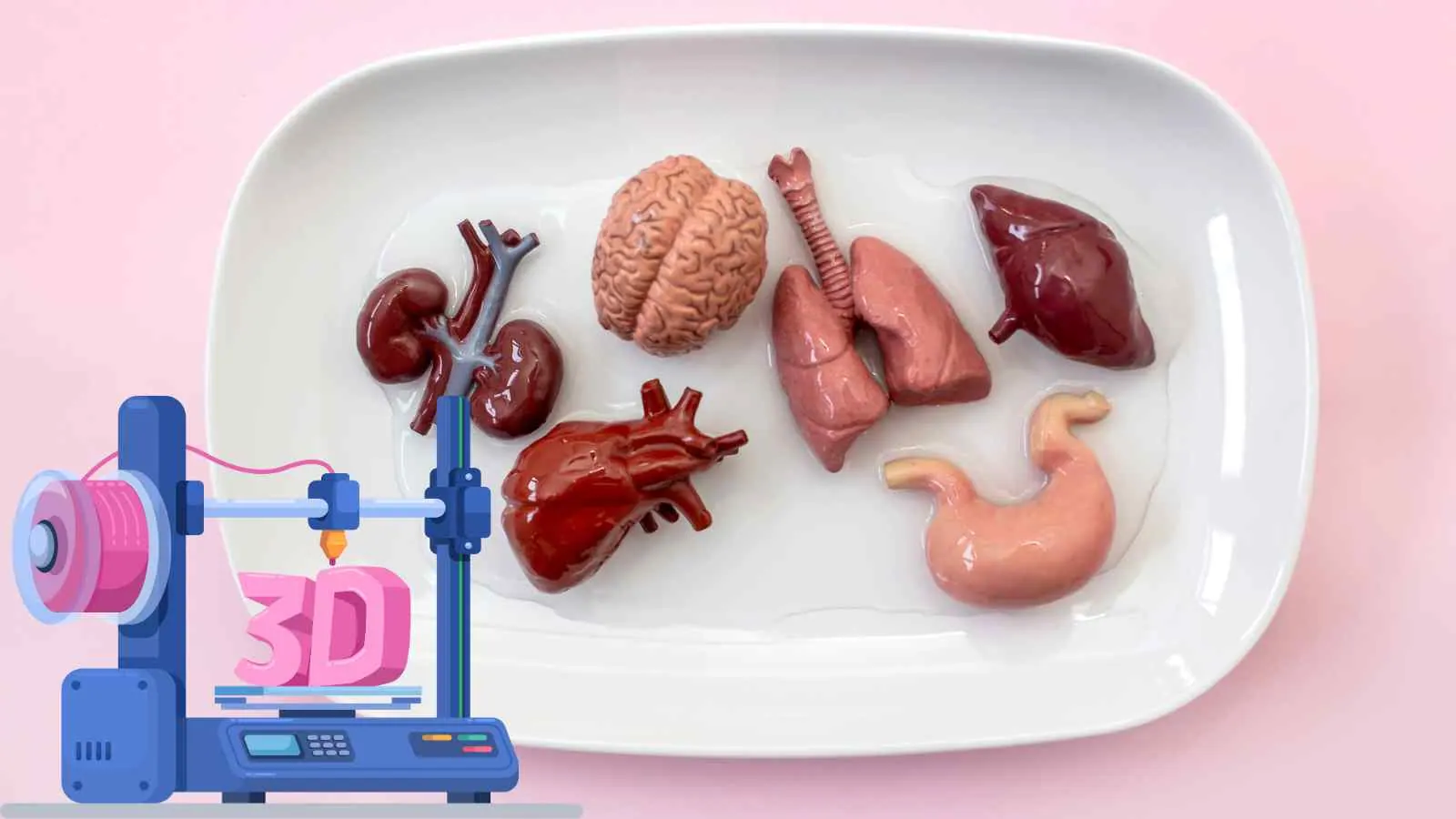 L’Università del Minnesota sviluppa tessuti chirurgici 3D realistici con feedback tattile per addestrare medici in sicurezza.