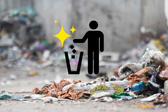 RAEE, batterie e tessile: il tesoro nascosto nei rifiuti italiani