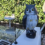 Huawei Pura 80 Pro - specifiche IMG