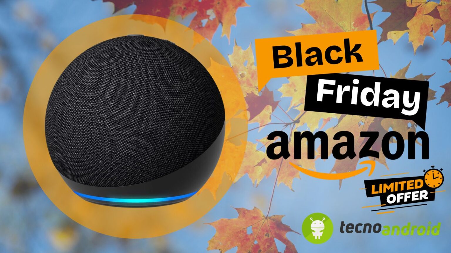 amazon offerta echo dot