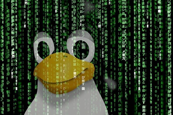 Kaspersky lancia il suo antivirus per Linux, che non è immune come si crede
