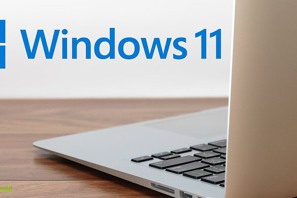 Windows 11: bloccate due opzioni in Esplora File