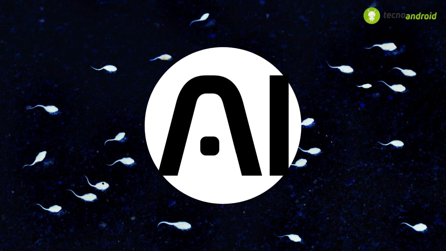 Ai