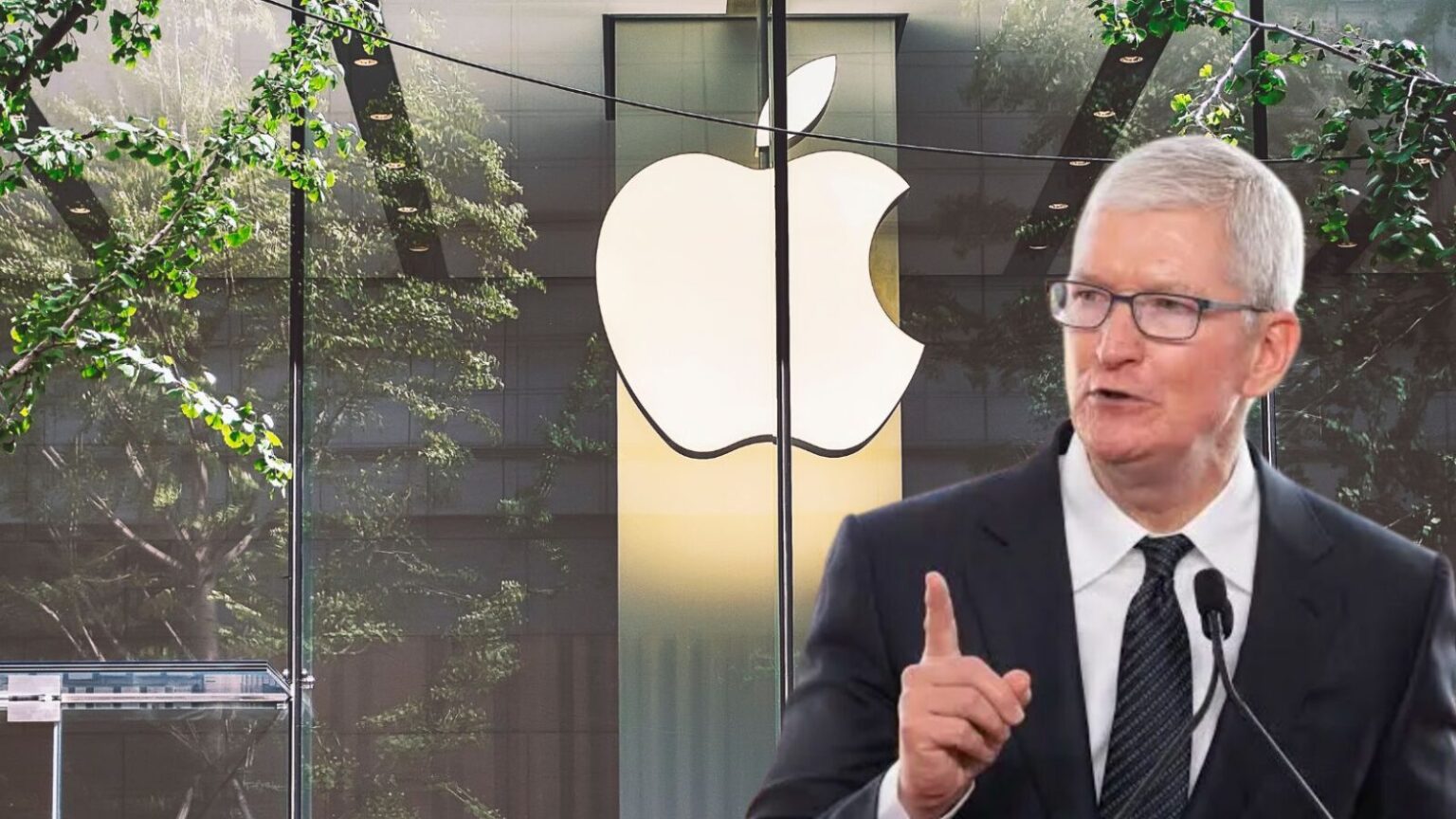 apple tim cook