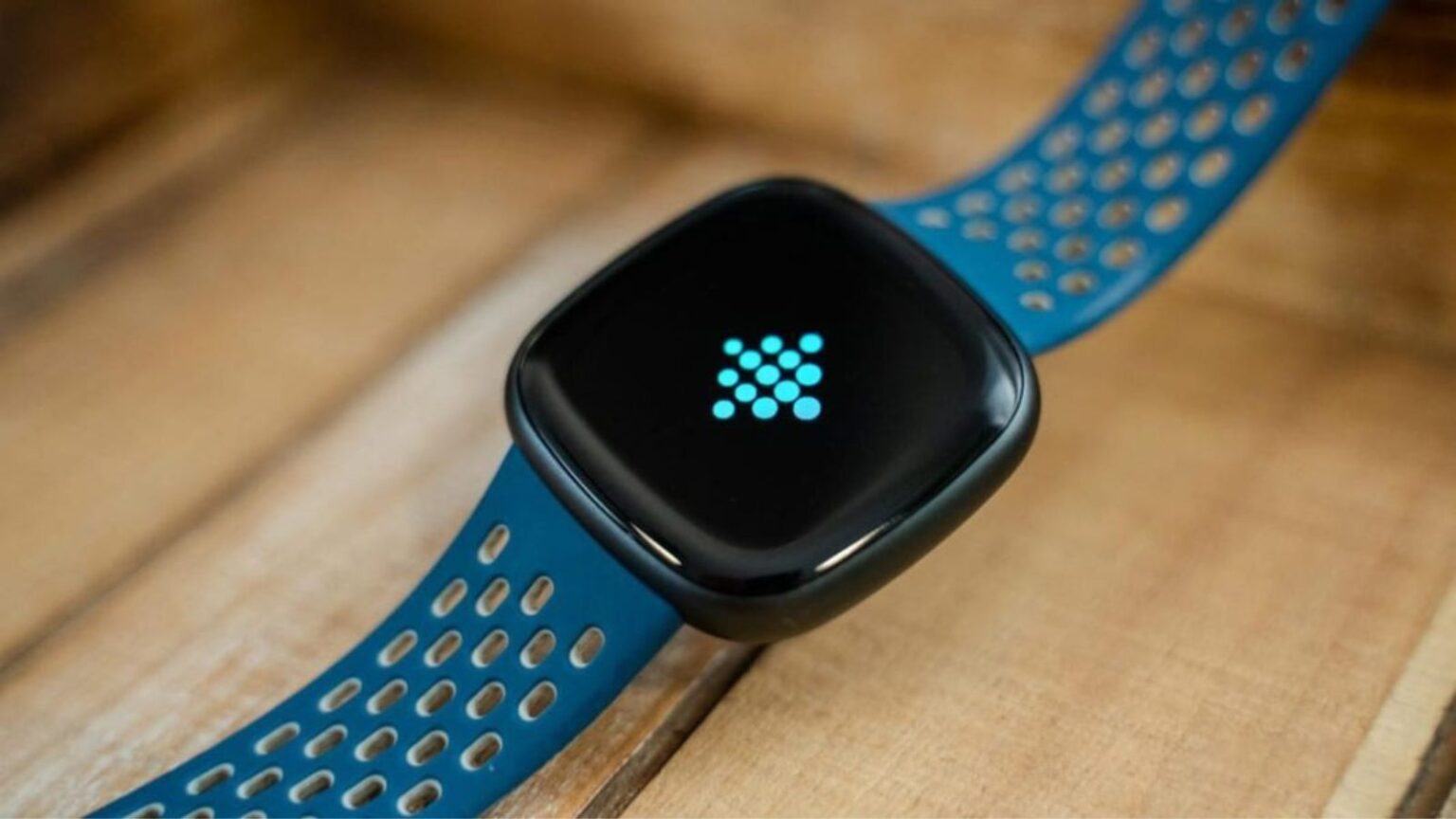 Fitbit Labs