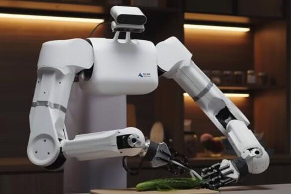 Robot domestico o semplice messa in scena?