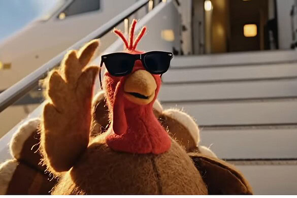 Spot storico per Google: il protagonista è un tacchino e lo spot è generato con l’AI