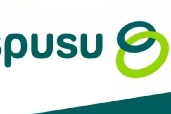 Spusu rinnova il suo catalogo, ecco le novità