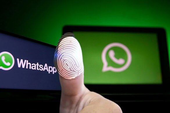 WhatsApp sotto esame: estratti 3,5 miliardi di numeri, una falla ignorata per anni