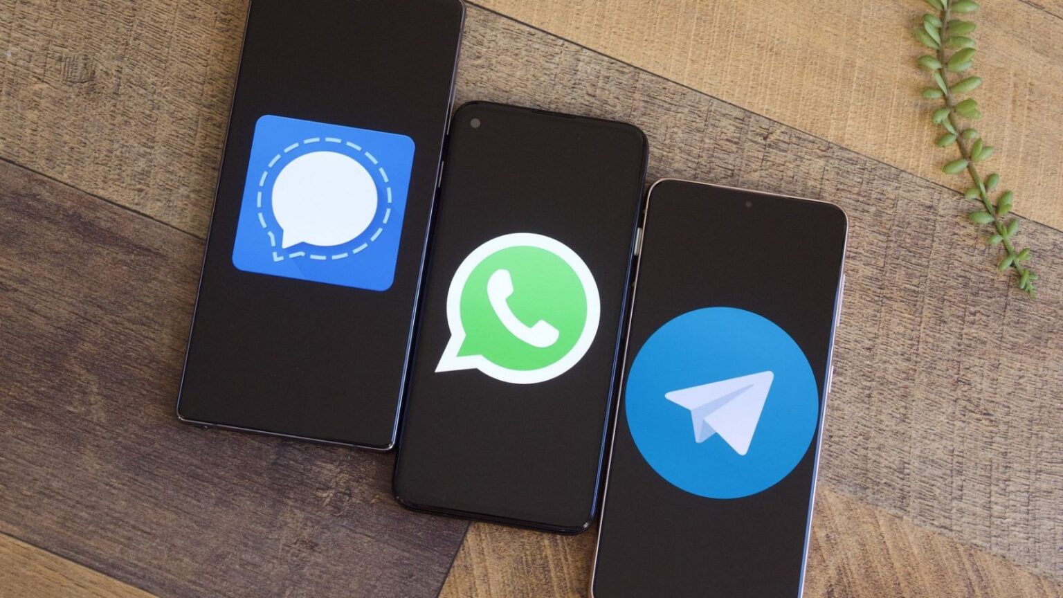 WhatsApp interoperabilità