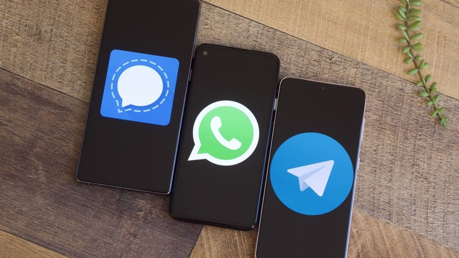 WhatsApp interoperabilità